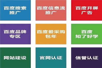 百度竞价推广代运营经典案例分析